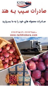 صادرات سیب | صادرات سیب به هند | صادرات سیب به کشورهای دنیا